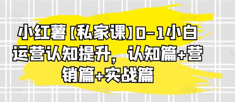 小红薯【私家课】0-1小白运营认知提升，认知篇+营销篇+实战篇-大熊网创