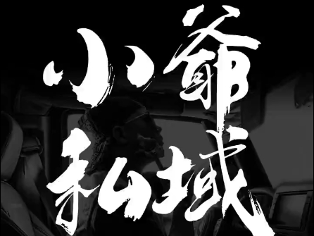 小爷·私域项目操盘手-大熊网创
