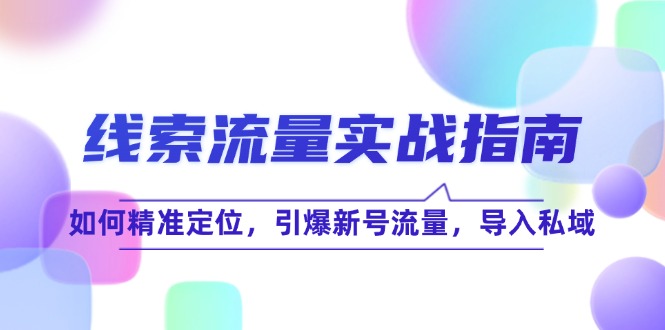 线 索 流 量-实战指南：如何精准定位，引爆新号流量，导入私域-大熊网创