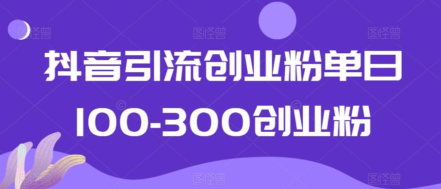 抖音引流创业粉单日100-300创业粉【揭秘】-大熊网创