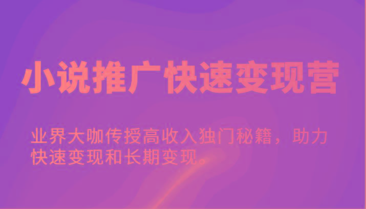 小说推广快速变现营-业界大咖传授高收入独门秘籍，助力快速变现和长期变现。-大熊网创