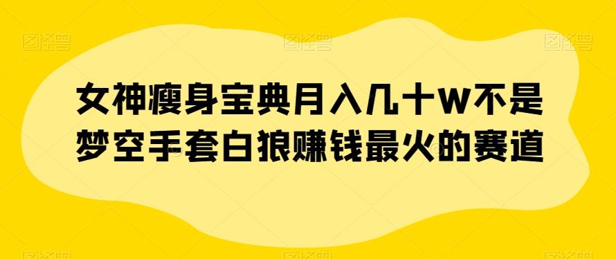 女神瘦身宝典月入几十W不是梦空手套白狼赚钱最火的赛道【揭秘】-大熊网创