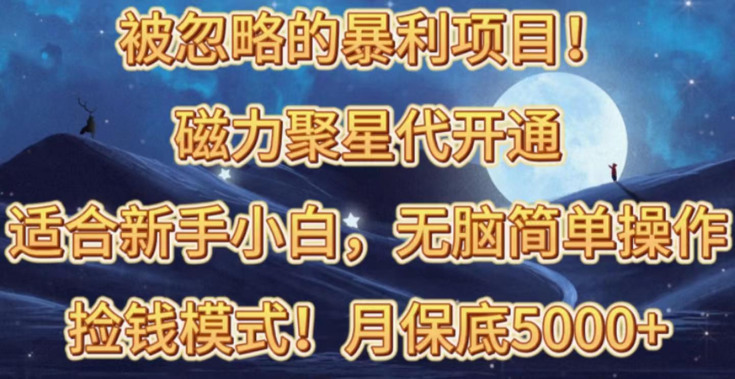 被忽略的暴利项目！磁力聚星代开通捡钱模式，轻松月入五六千-大熊网创