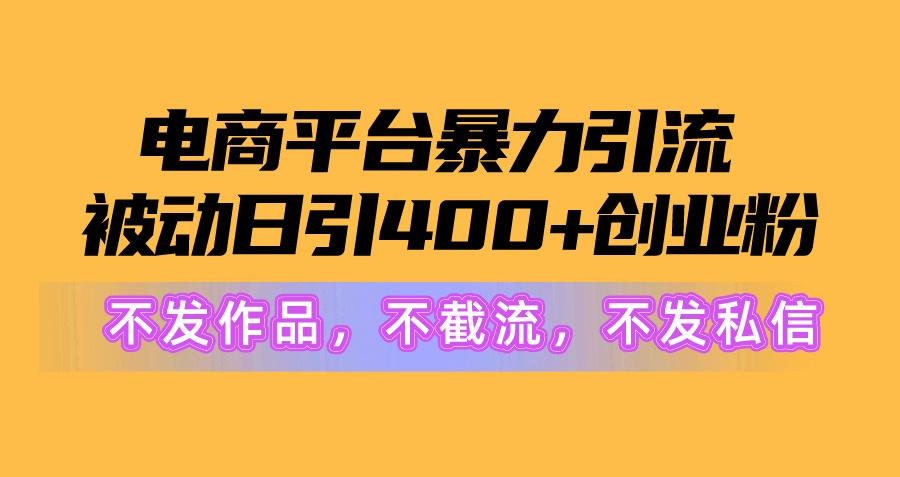 电商平台暴力引流,被动日引400+创业粉不发作品，不截流，不发私信-大熊网创