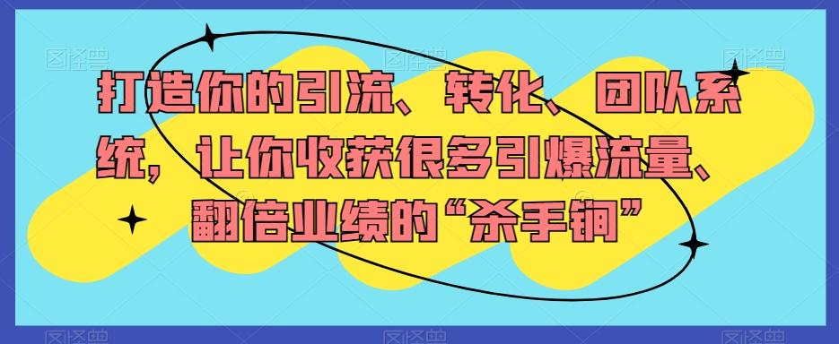 打造你的引流、转化、团队系统，让你收获很多引爆流量、翻倍业绩的“杀手锏”-大熊网创