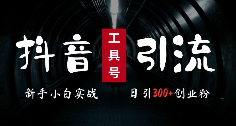 2024最新抖音工具号引流玩法，高效日引300+创业粉，当天变现5k，小白也可成为实战高手-大熊网创