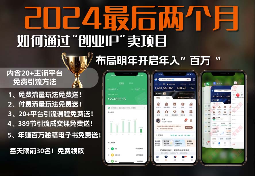 2024最后两个月如何通过”创业IP“卖项目年入”百万“,创业IP+最强引流…-大熊网创
