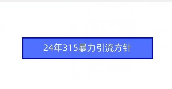24年315暴力引流方针-大熊网创