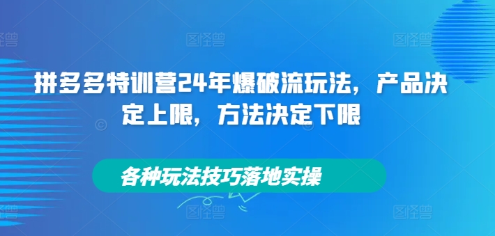 拼多多特训营24年爆破流玩法，产品决定上限，方法决定下限，各种玩法技巧落地实操-大熊网创