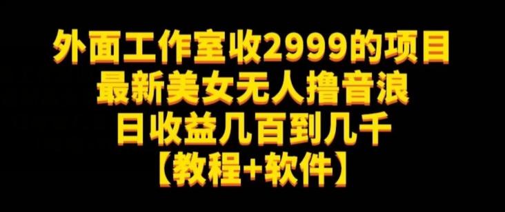 外面工作室收2999的项目最新美女无人撸音浪日收益几百到几千【教程+软件】（仅揭秘）-大熊网创
