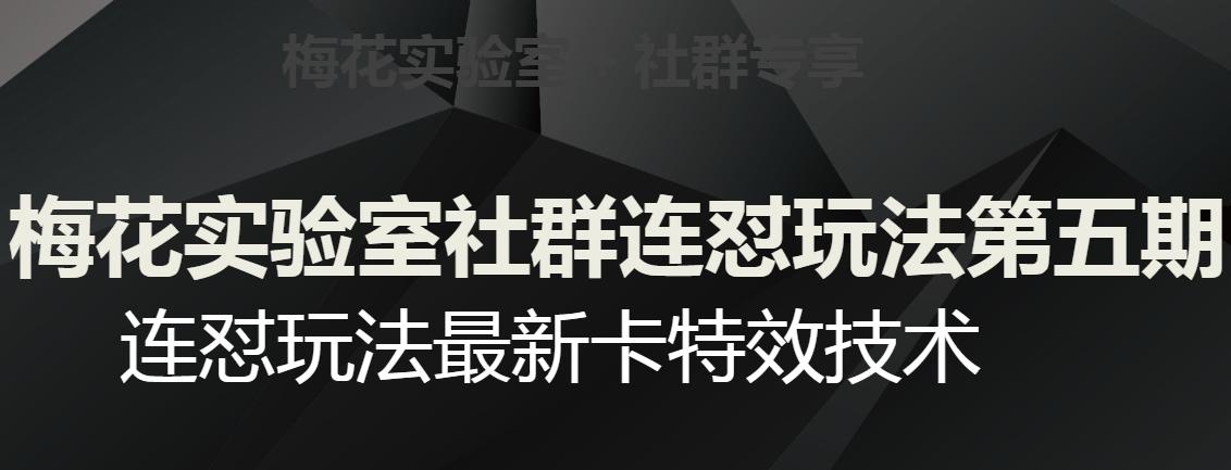 梅花实验室社群连怼玩法第五期，视频号连怼玩法最新卡特效技术-大熊网创
