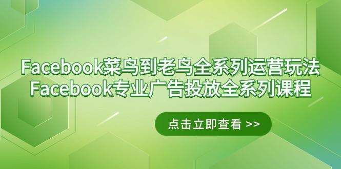 Facebook-菜鸟到老鸟全系列运营玩法+Facebook-专业广告投放全系列课程-大熊网创