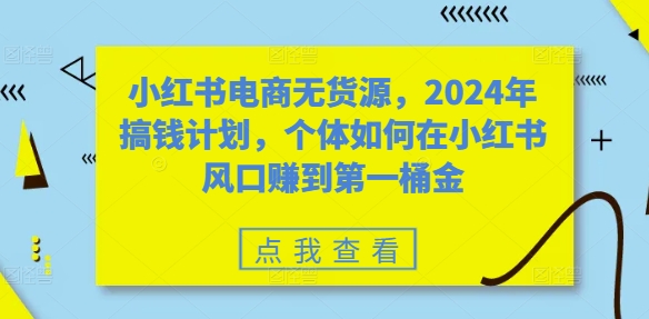 小红书电商无货源，2024年搞钱计划，个体如何在小红书风口赚到第一桶金-网创星球