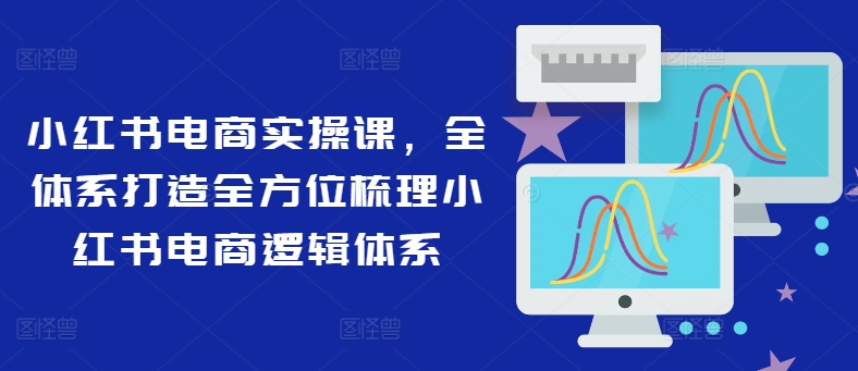 小红书电商实操课，全体系打造全方位梳理小红书电商逻辑体系-大熊网创