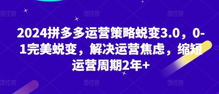 2024拼多多运营策略蜕变3.0，0-1完美蜕变，解决运营焦虑，缩短运营周期2年+-大熊网创