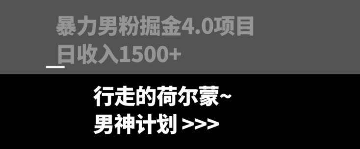 暴力男粉掘金4.0项目不违规不封号无脑复制单人操作日入1000+-大熊网创