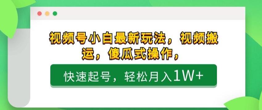 视频号小白最新玩法，视频搬运，傻瓜式操作，快速起号，轻松月入1W+-大熊网创
