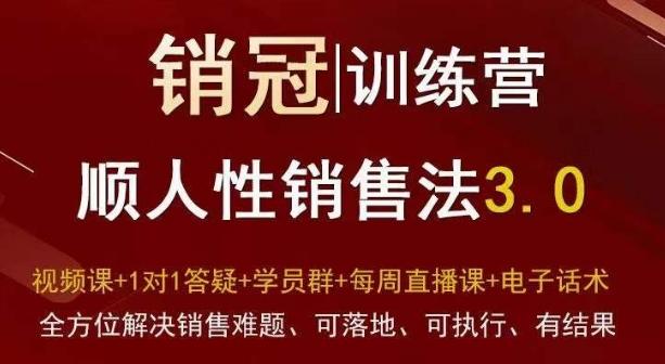爆款！销冠训练营3.0之顺人性销售法，全方位解决销售难题、可落地、可执行、有结果-大熊网创