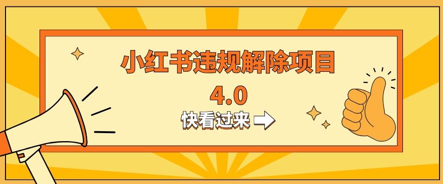 小红书违规掘金蓝海项目，日入800+（附带引流办法及解除办法）-大熊网创
