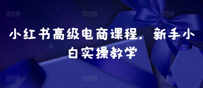 小红书高级电商课程，新手小白实操教学-网创星球