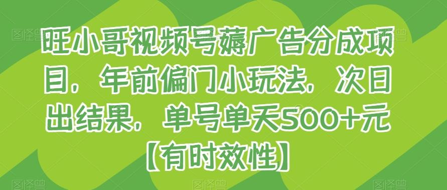 旺小哥视频号薅广告分成项目，年前偏门小玩法，次日出结果，单号单天500+元【有时效性】-大熊网创