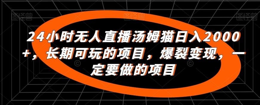 24小时无人直播汤姆猫日入2000+，长期可玩的项目，爆裂变现，一定要做的项目【揭秘】-大熊网创