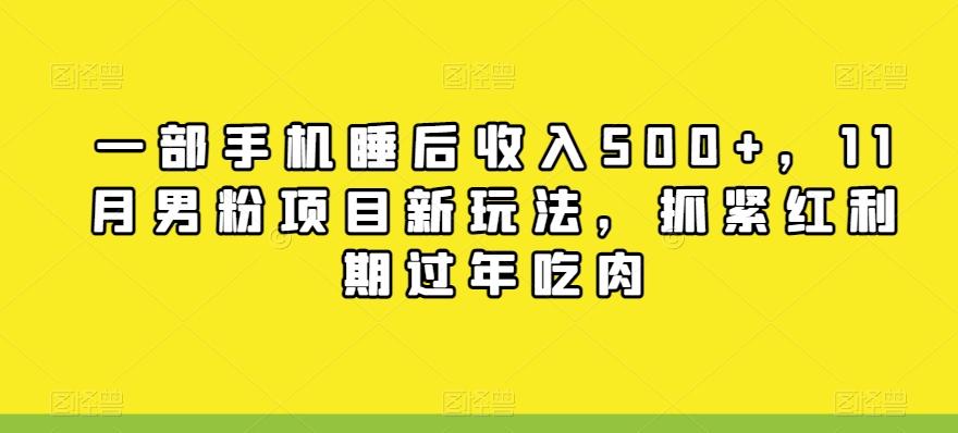 一部手机睡后收入500+，11月男粉项目新玩法，抓紧红利期过年吃肉-网创星球