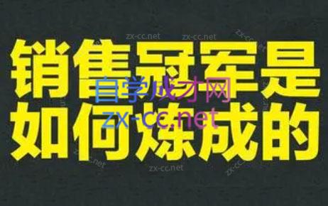 林林老师·成为外贸销售冠军课-大熊网创