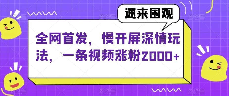 全网首发，慢开屏深情玩法，一条视频涨粉2000+【揭秘】-大熊网创