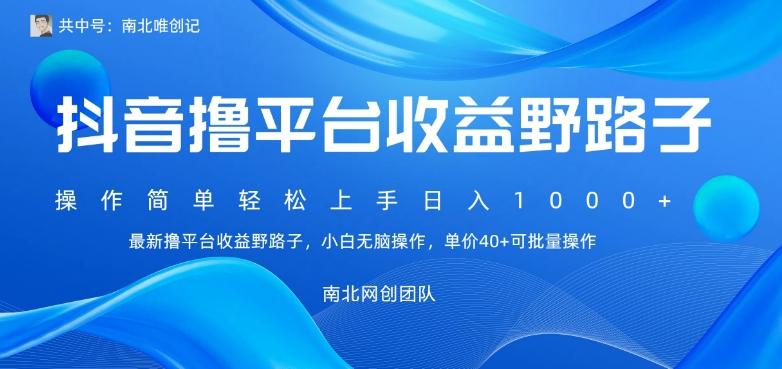 最新撸抖音平台收益野路子，操作简单，单价高，小白可无脑操作可日入1000+-大熊网创