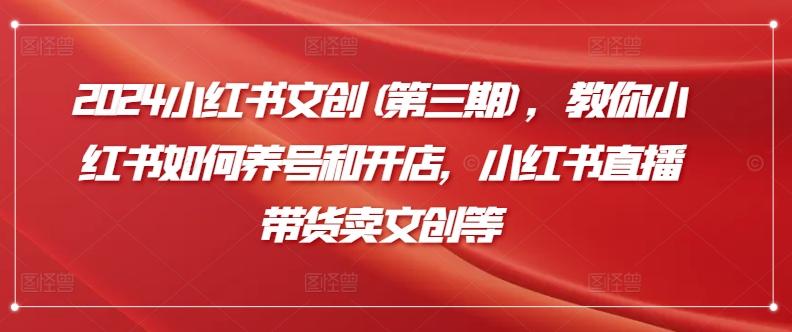 2024小红书文创(第三期)，教你小红书如何养号和开店，小红书直播带货卖文创等-大熊网创