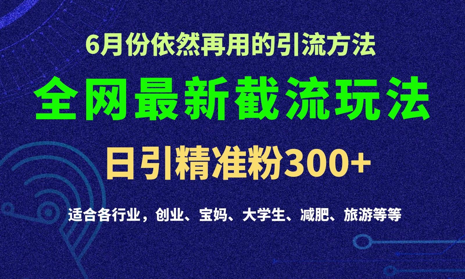 2024全网最新截留玩法，每日引流突破300+-大熊网创