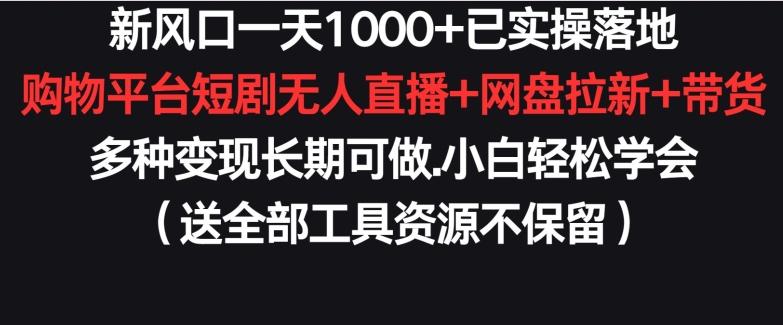 新风口一天1000+已实操落地购物平台短剧无人直播+网盘拉新+带货多种变现长期可做【揭秘】-大熊网创