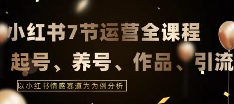 7节小红书运营实战全教程，结合最新情感赛道，打通小红书运营全流程【揭秘】-大熊网创