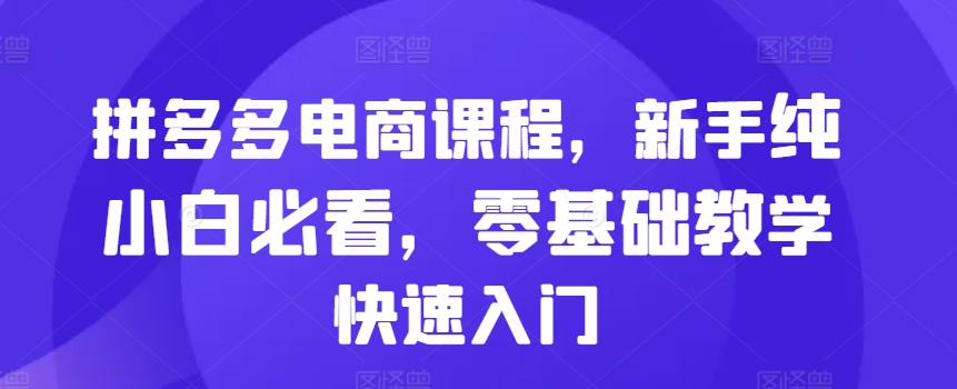 拼多多电商课程，新手纯小白必看，零基础教学快速入门-大熊网创