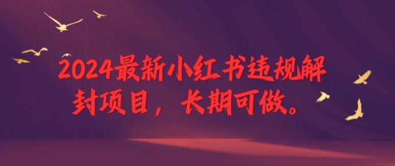 2024最新小红书违规解封项目，长期可做，一个可以做到退休的项目【揭秘】-大熊网创