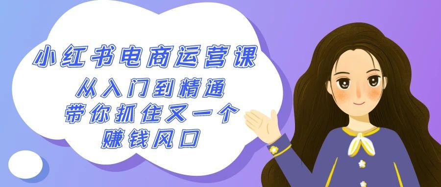 2024小红书-电商运营课，从入门到精通，带你抓住又一个赚钱风口(50节课)-网创星球