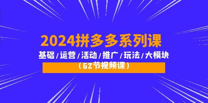 (10019期)2024拼多多系列课：基础/运营/活动/推广/玩法/大模块(62节视频课)-大熊网创