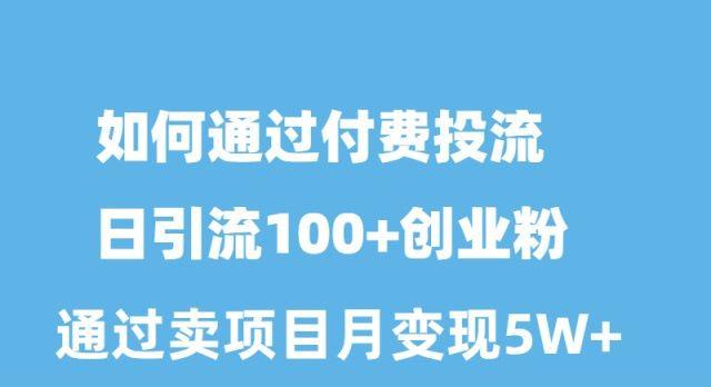 如何通过付费投流日引流100+创业粉月变现5W+-大熊网创