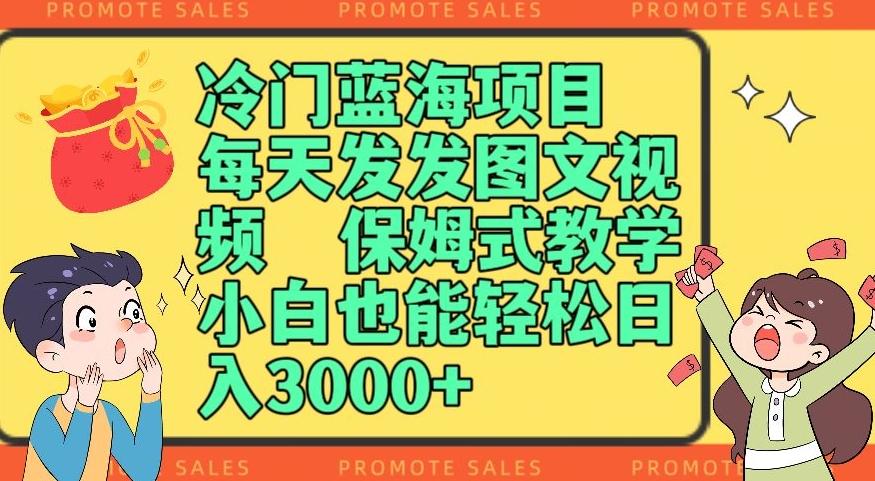 冷门蓝海项目，每天发发图文视频，保姆式教学，小白也能轻松日入3000+-大熊网创