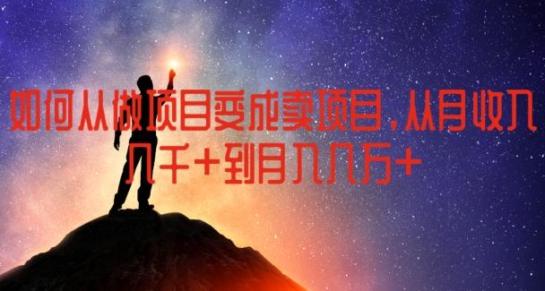 如何从做项目变成卖项目，从月收入几千到月入几万【揭秘】-大熊网创