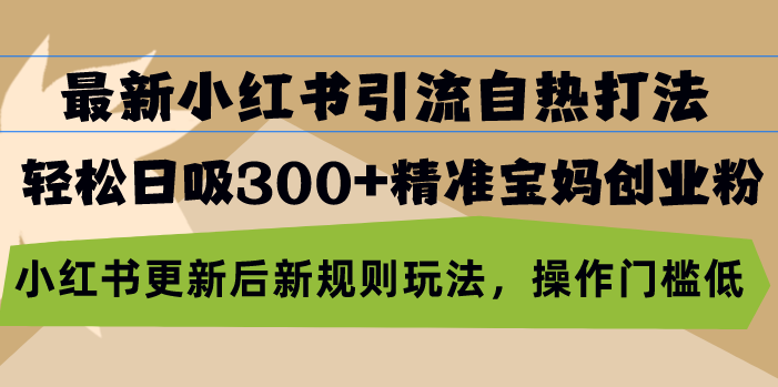 最新小红书引流自热打法，轻松日吸300+精准宝妈创业粉，小红书更新后新…-大熊网创