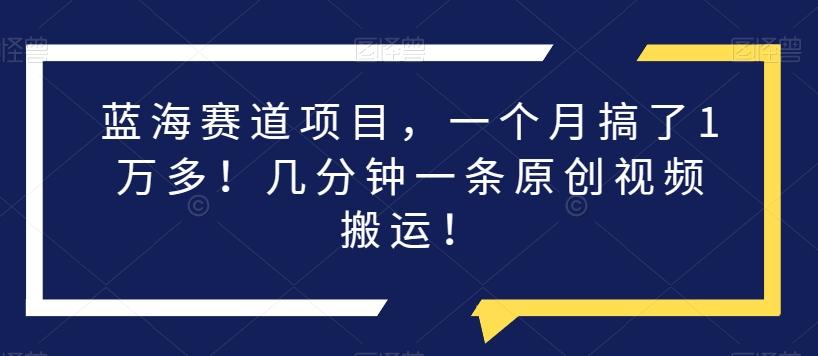 蓝海赛道项目，一个月搞了1万多！几分钟一条原创视频搬运！-大熊网创