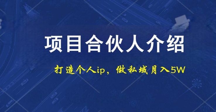 项目合伙人项目，打造个人IP，做私域月入5W，小白勿扰-大熊网创