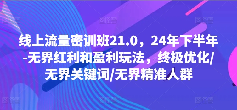 线上流量密训班21.0，24年下半年-无界红利和盈利玩法，终极优化/无界关键词/无界精准人群-大熊网创