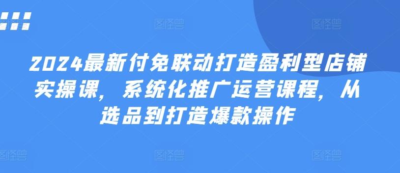 2024最新付免联动打造盈利型店铺实操课，​系统化推广运营课程，从选品到打造爆款操作-大熊网创