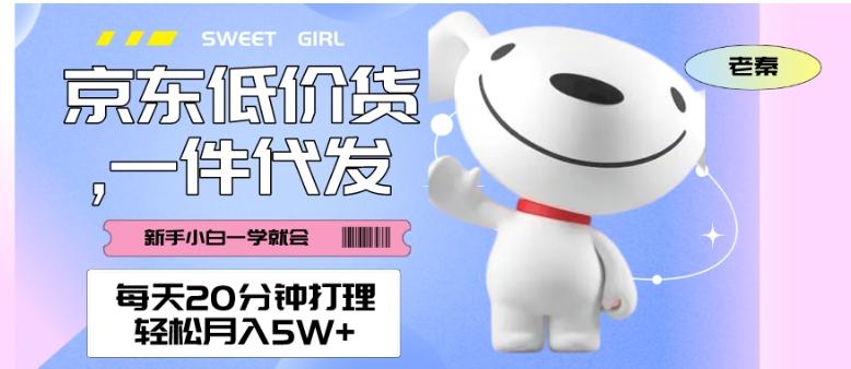 每天20分钟打理京东低价货，一件代发-轻松月入5W＋-大熊网创