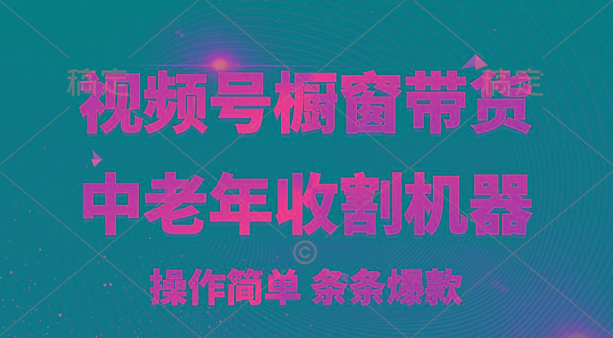 [你的孩子成功取得高位]视频号最火爆赛道，橱窗带货，流量分成计划，条…-大熊网创
