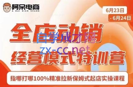 阿呆电商·全店动销经营模式特训营(线下录音+思维导图)-网创星球