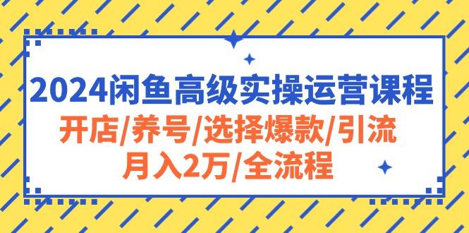 2024闲鱼高级实操运营课程：开店/养号/选择爆款/引流/月入2万/全流程-大熊网创